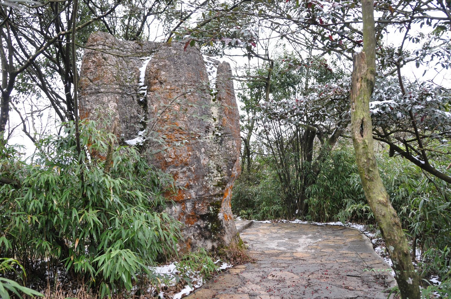 山王坪生态石林风景实拍
