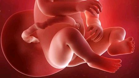 怀孕37周胎儿图片图片