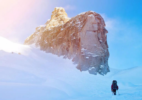 见过高山见过峻岭,但这个攀登者你一定没见过