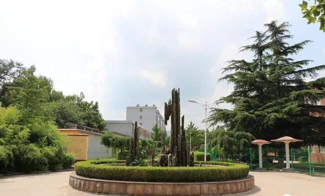 还记得临朐四中吗?在四中,我所遇到的几位老师