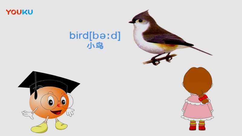 小鸟的英语怎么说?快乐学英语单词bird,亲子,早教,好看视频