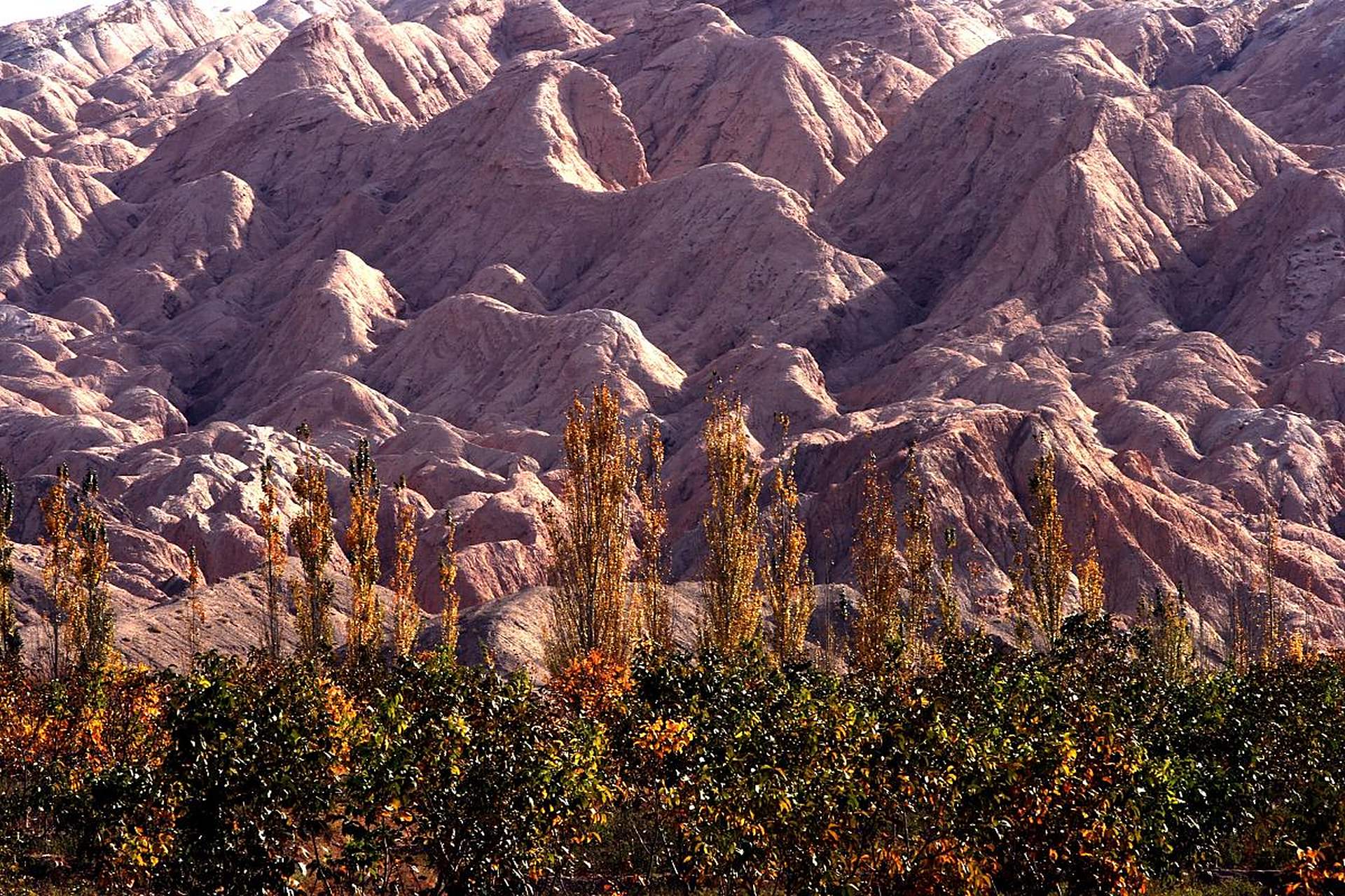 据中国地震台网测定:3月5日北京时间9点29分,在新疆阿克苏地区乌什县