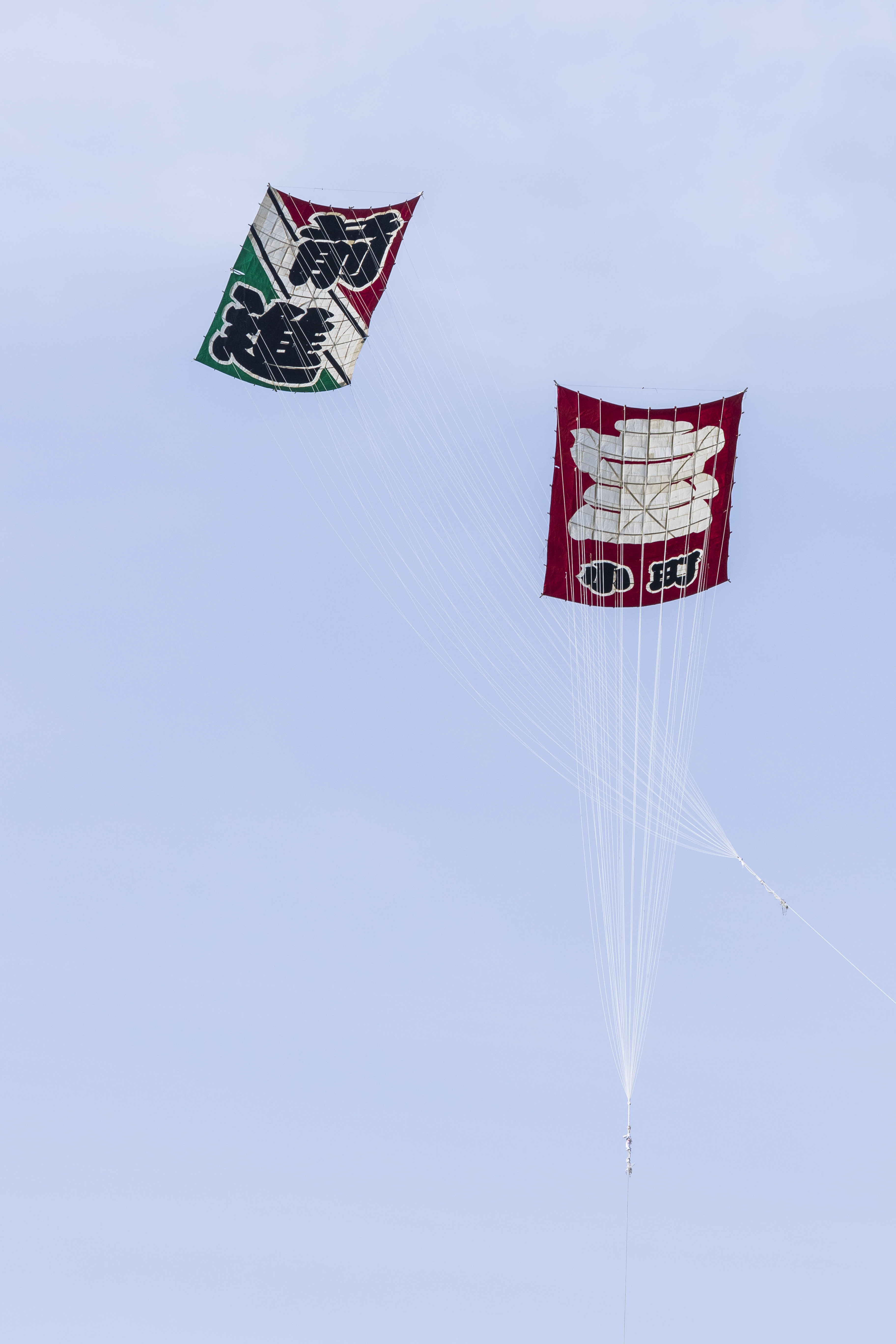 日本多地举办风筝节 神奈川民众放飞巨型"令和"风筝