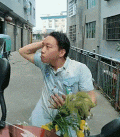 搞笑gif:母鸡:你再把头抬高点?公鸡:我就抬了,怎么着?