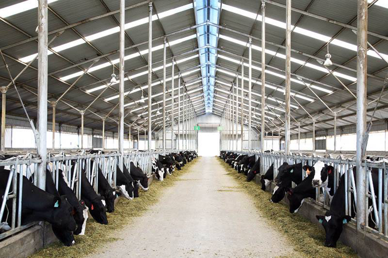 黄牛- 热门商品专区