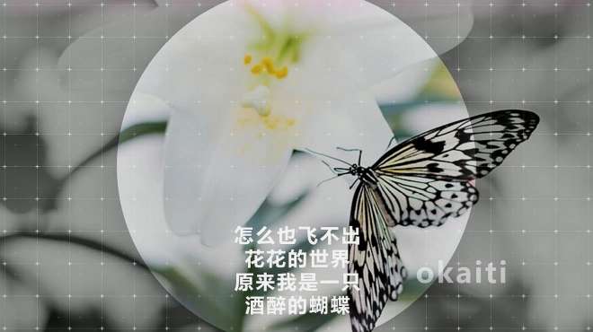 [图]崔伟立 - 酒醉的蝴蝶