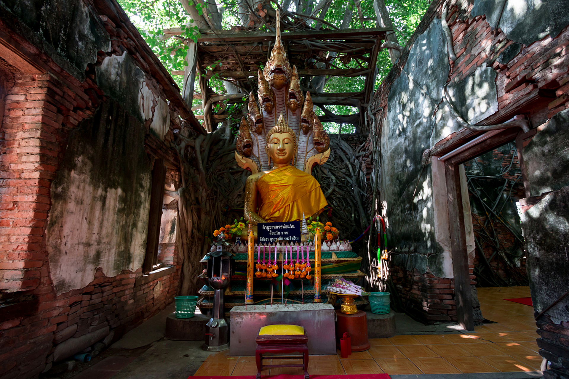 南雅大佛寺图片