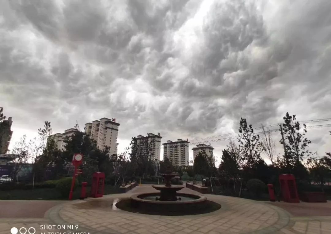 昨日九级风来袭!暴雨如约而至!最大降雨量出现在这里