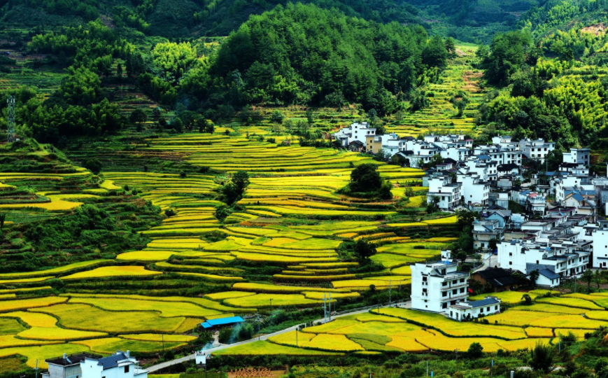 旅游:江西婺源县,中国最美乡村,全国著名的文化与生态旅游县