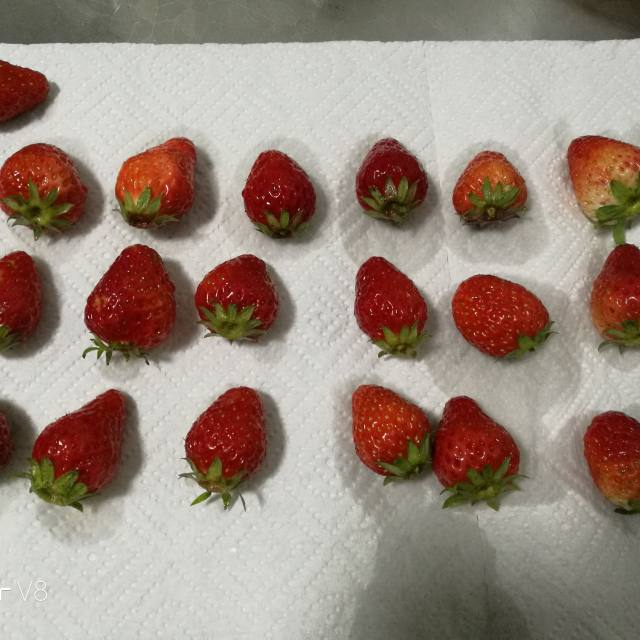 闲来无事摆一盘草莓花,香甜美味