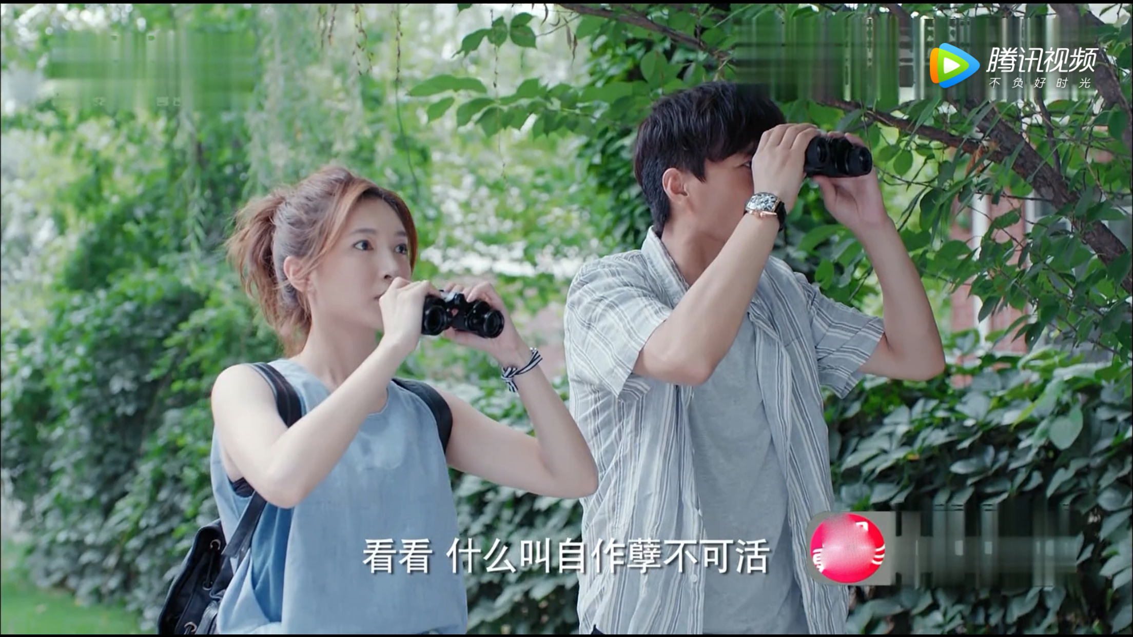 恋爱先生拍摄时间