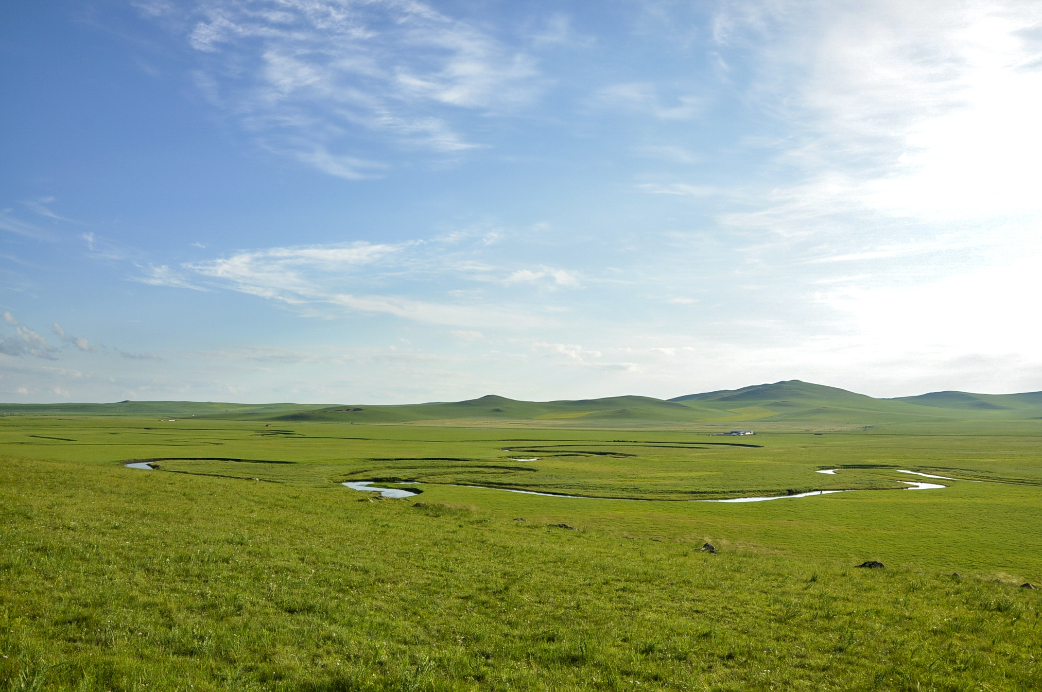 又是一年好时节,牧站再次邀您共赏乌拉盖草原美景