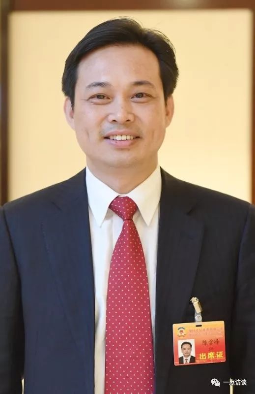 陈雪峰:非首都功能疏解工作关键找好结合点有序开展