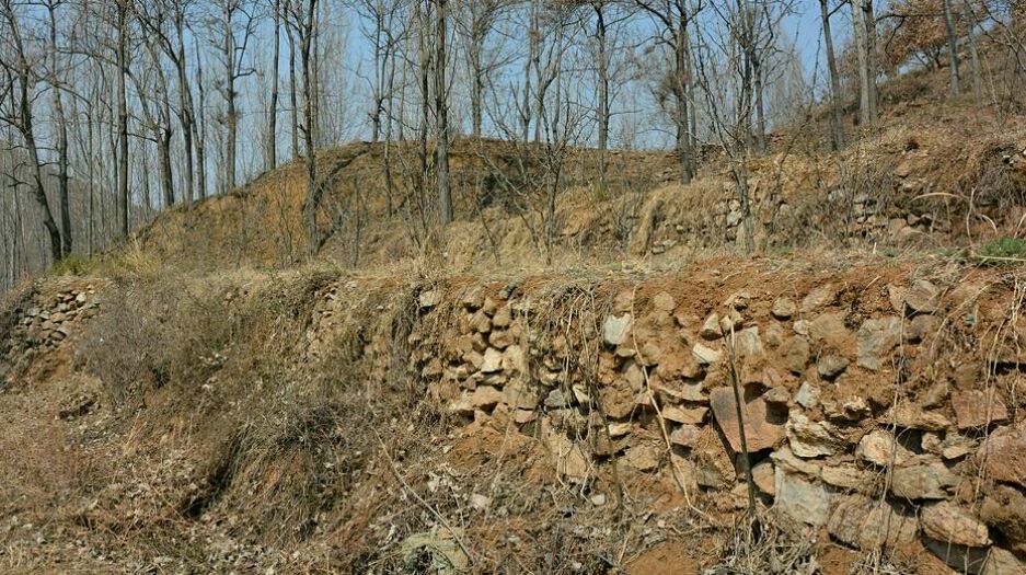 五百年前的鲁怀王墓地只剩封土一堆  墓室内空荡荡