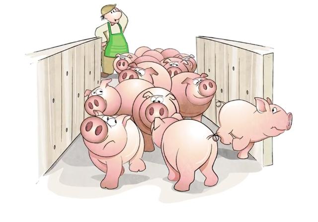 养猪场卡通图片
