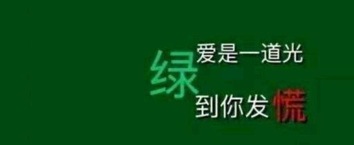 《如果岁月可回头》爱是一道光,绿到你发慌