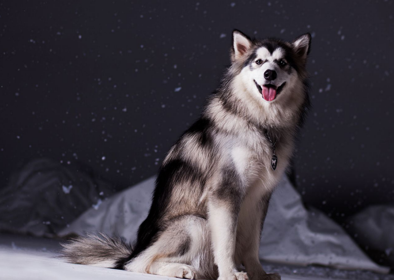 不要被外表看了,虽然长得不错,但是智商是硬伤啊