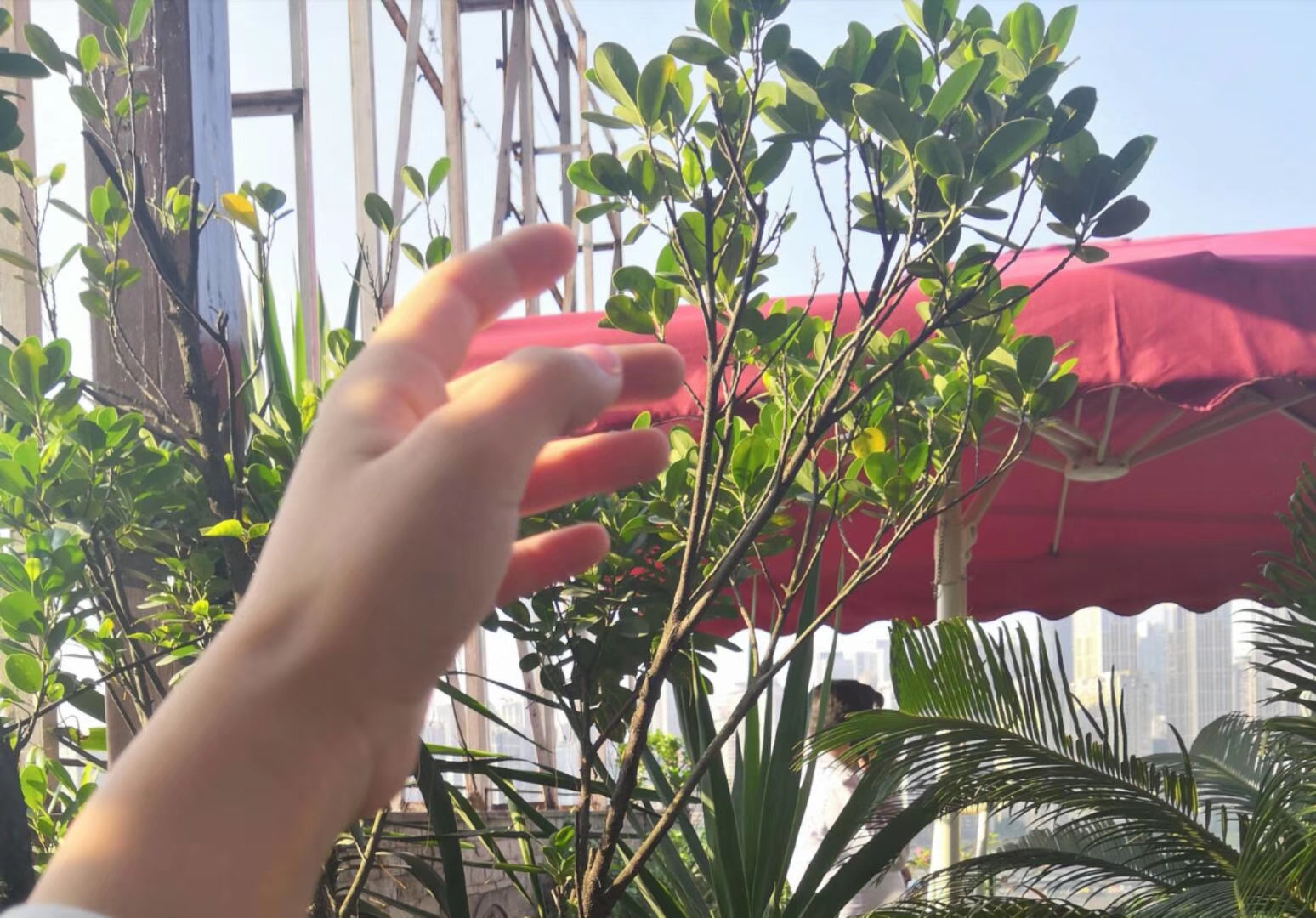 亦林老师教你护肤 05-0515:17