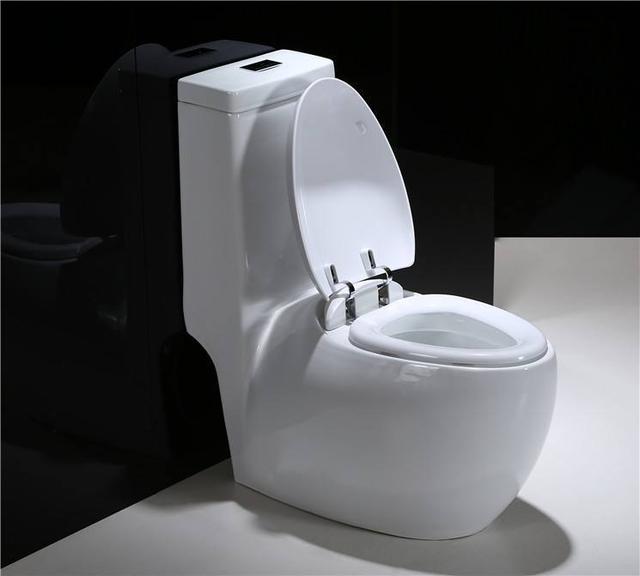 马桶选吸虹式还是直冲式?很多家庭装修没听劝,家里臭味重