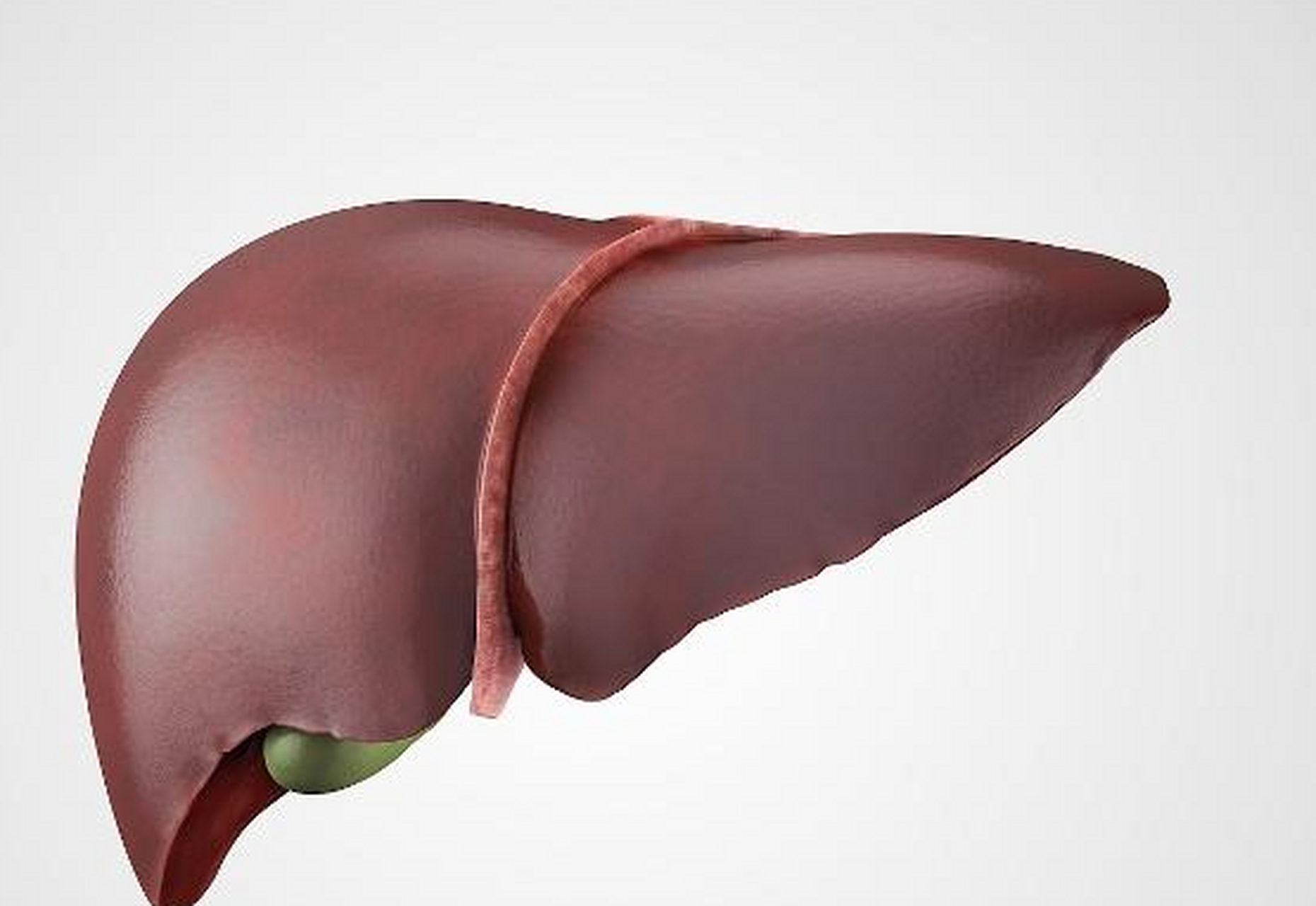 这几种变化可能主动"上门"修复肝脏:长时间的滴酒不沾,肝脏的排毒功能