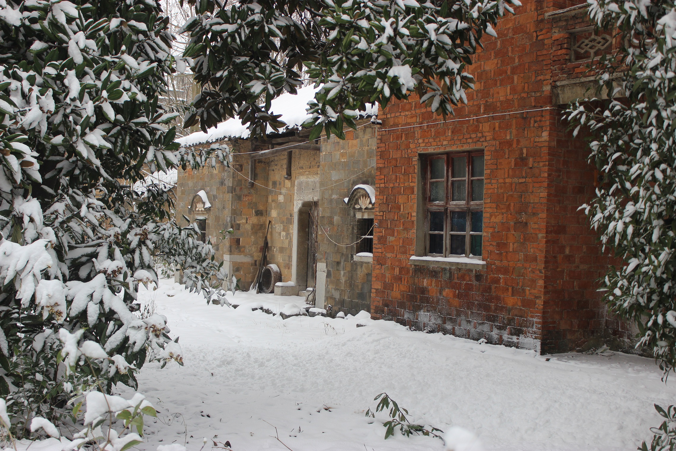 戊戌年的冬天,老屋场的雪景别样美丽