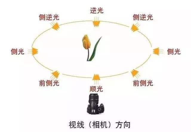 学摄影只懂"曝光三要素"可不行,影响照片"明暗"的因素还有它