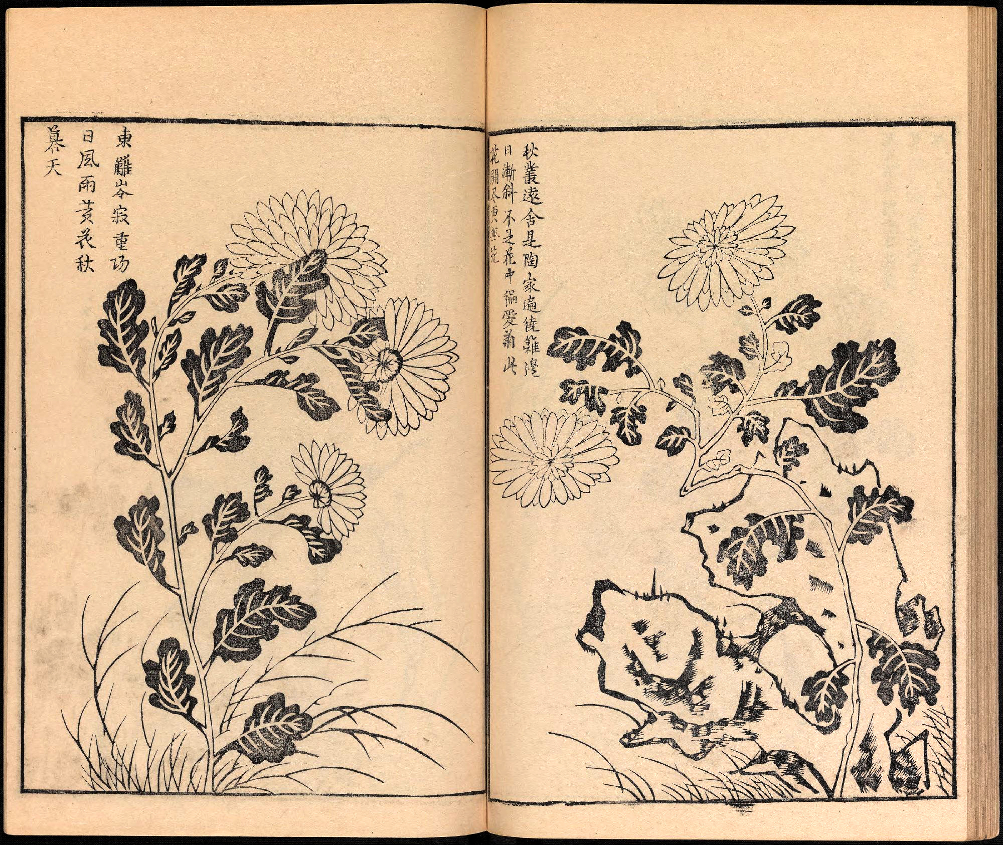 創梅竹蘭菊