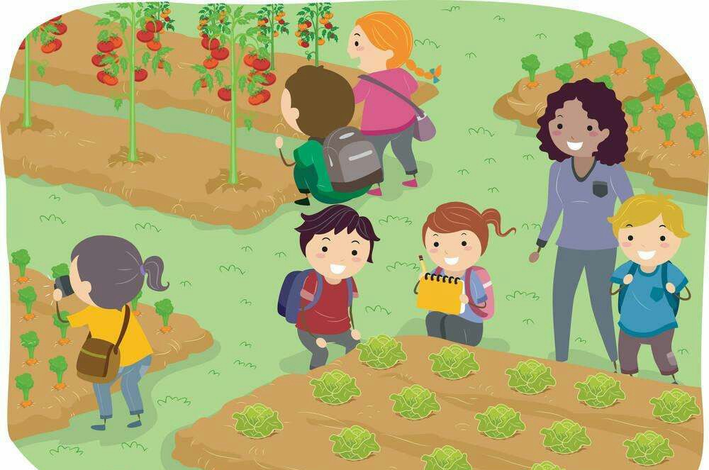 教学视野:学校组织春游秋游研学活动,家长是否支持孩子去参加