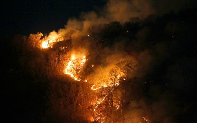 亚马孙森林大火烧了16天 巴西为何现在才重视?