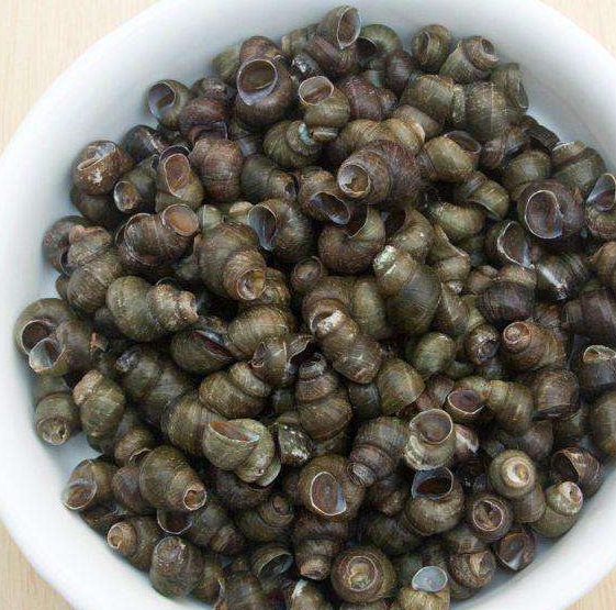 我们大概捡了1个小时就捡了5-6斤,这种田螺拿回家不能记着吃,必须用