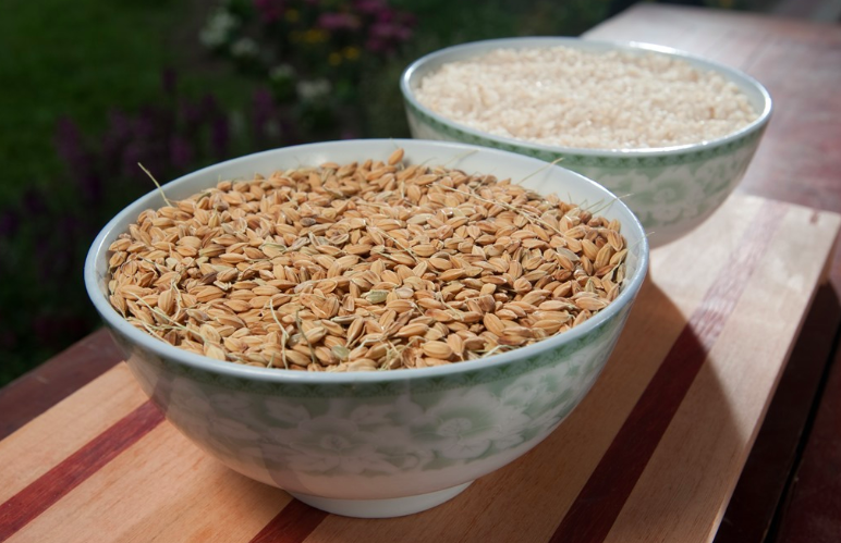 无米不欢越南米食文化,吃米不识米价