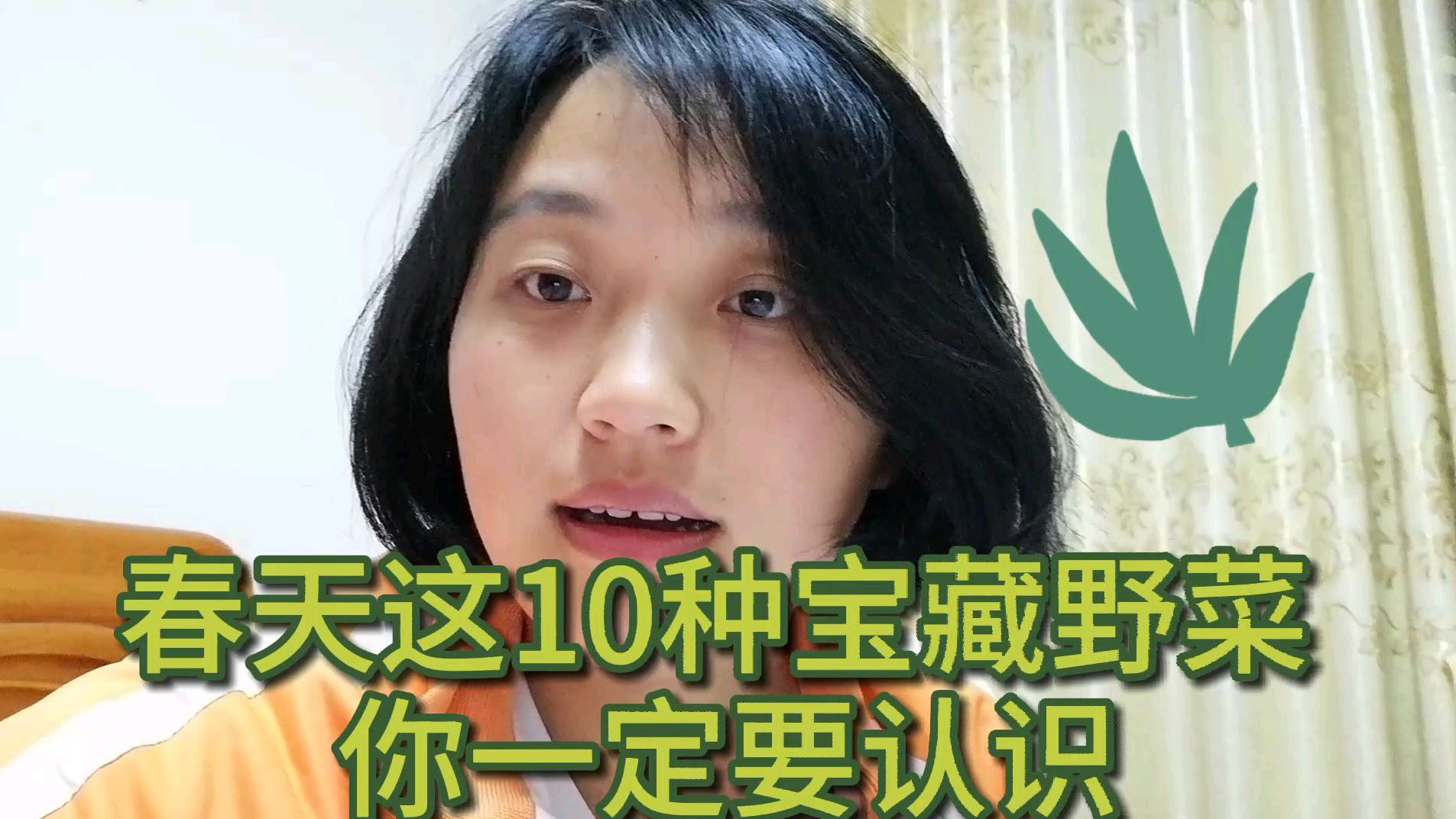 认识这10种野菜,野外生存能力肯定提高。pk一下全认识,算我输