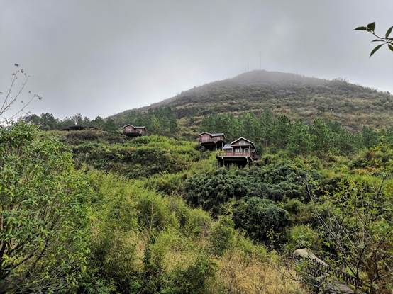 葛源秀美乡村:"七改三网","三化"建设打通了偏远山村的致富路