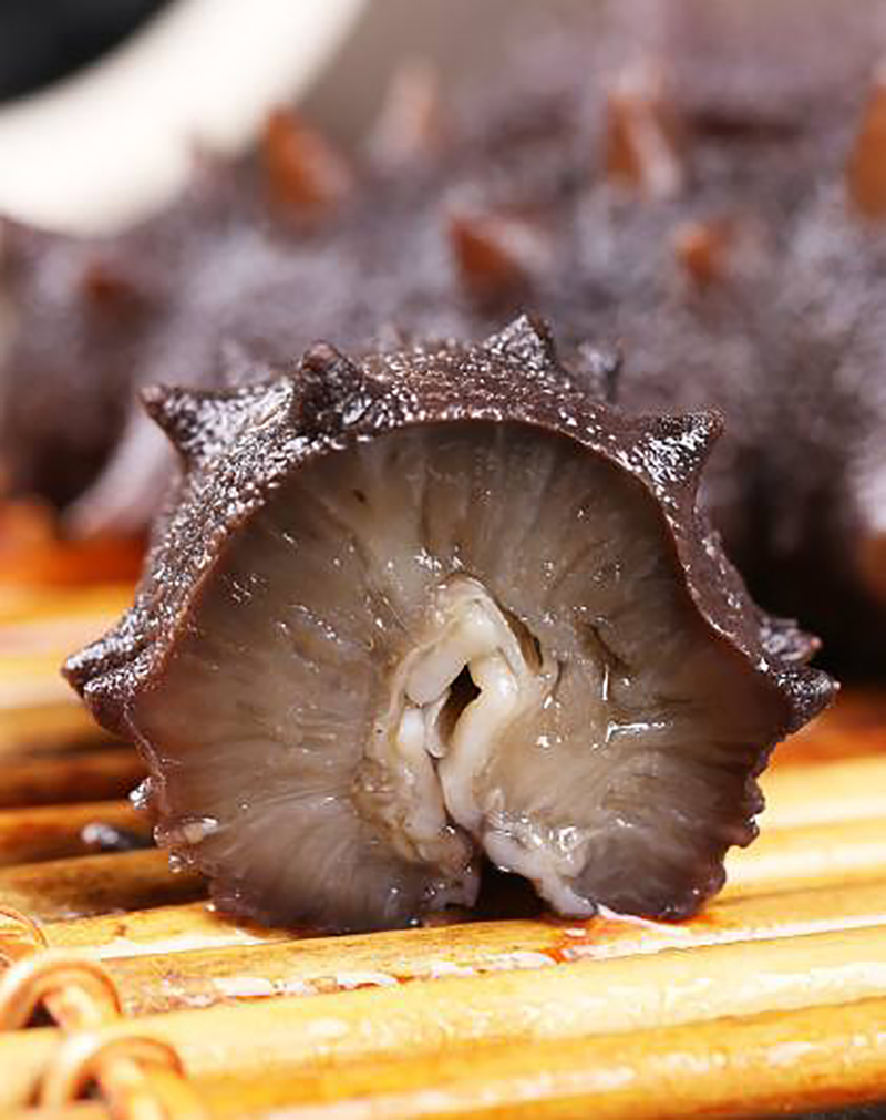 海参- 热门商品专区