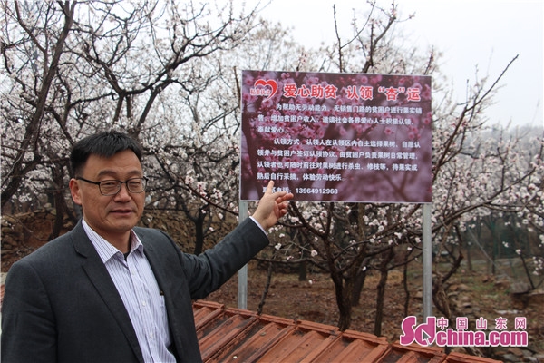 "紫云山下 杏韵花开"嘉祥纸坊第三届杏花节开幕