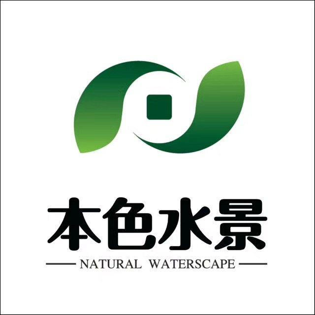 本色水景|2020rflac水族造景大赛作品赏,水草生态缸水陆缸造景