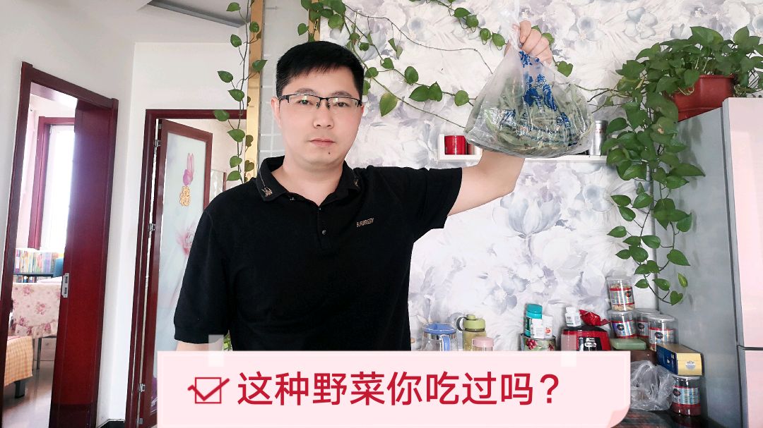 40-60岁人群留意:这种野菜对血压高,血脂高有好处。地里随处可见