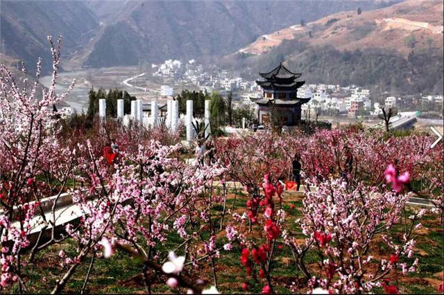 丹凤桃花谷风景区…你不来这里放松一下,看看这里的景色吗?