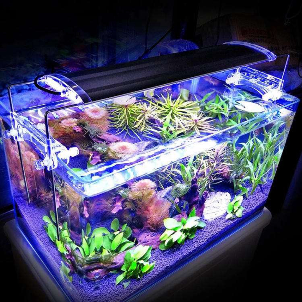 缸- 热门商品专区