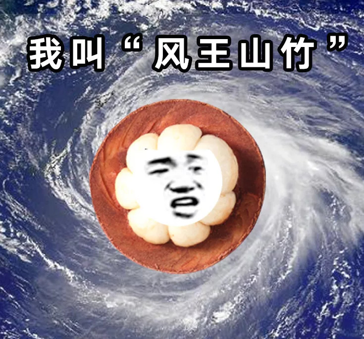 学校停课,高铁停运,航班取消…最强台风"山竹"来势汹汹!会登陆河南吗?