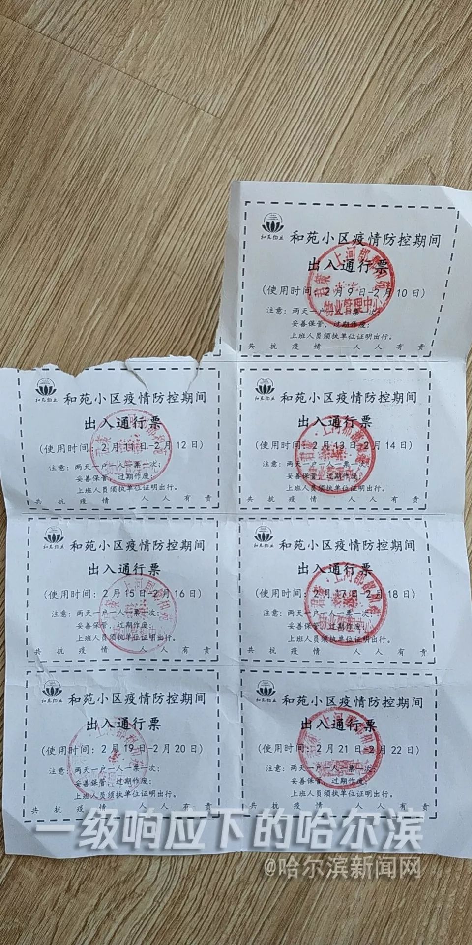 小区封闭 居民"群晒"小区出入通行证|你家的长啥样