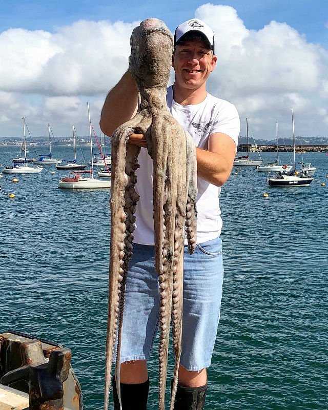 英国男子自称捕鱼专家,捕获巨型章鱼,触须长达3米