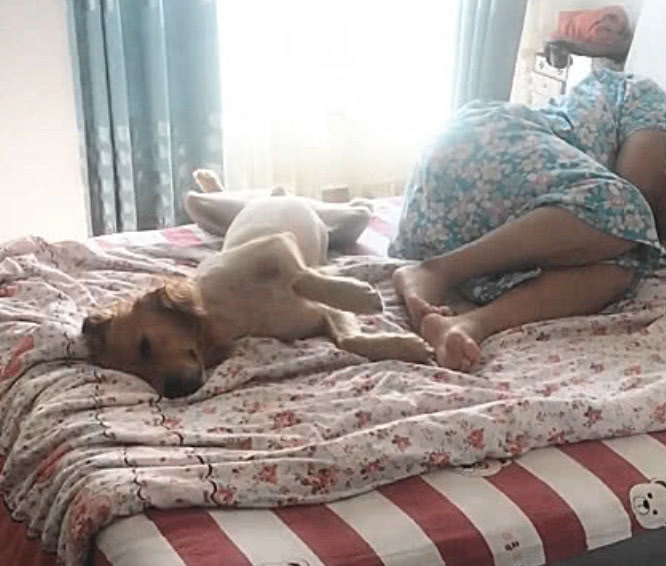 男子加班到天亮才回家,推开卧室门一看,瞬间就气炸了!