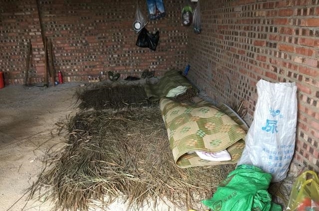 吃咸菜打地铺,农村包工队小工头,年赚十几万,你能干?