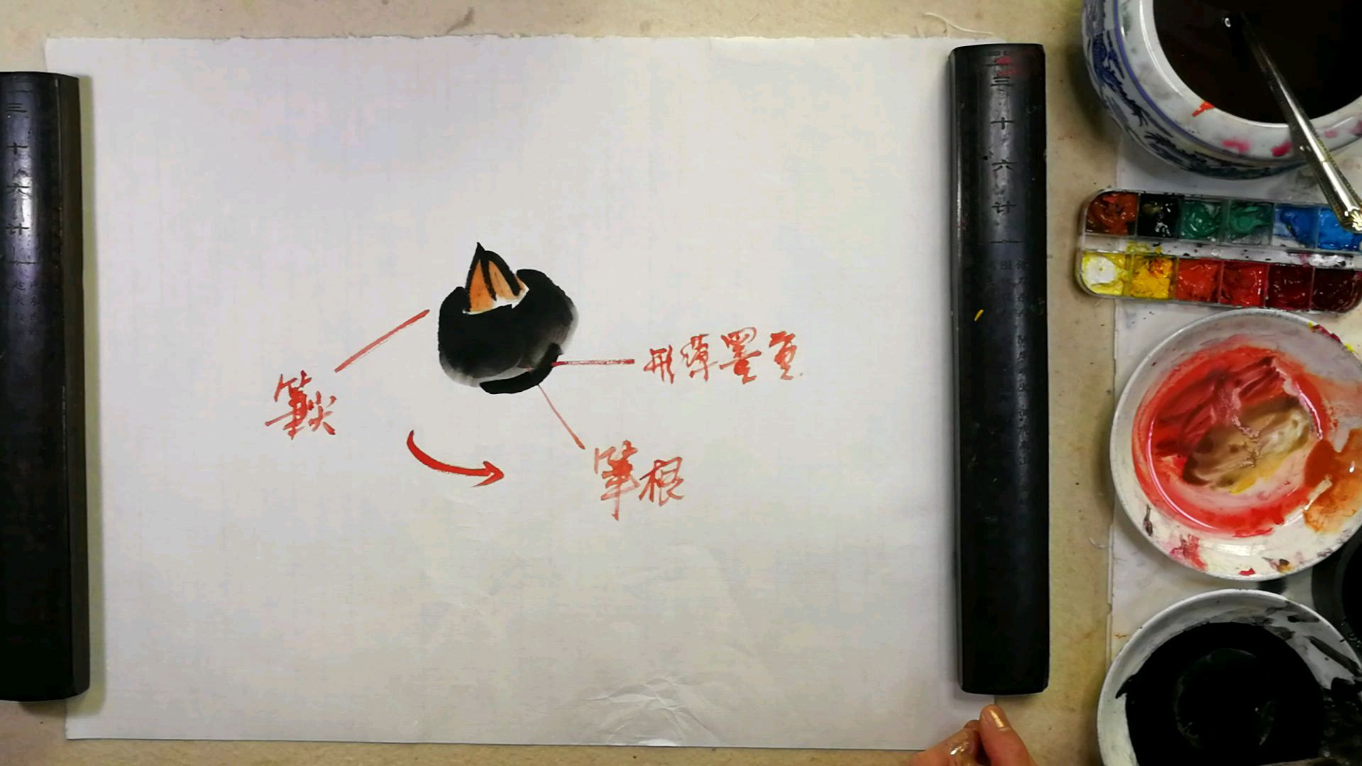 花鸟集。第九章蔬菜和水果的画法。第五节荸荠的画法与其步骤