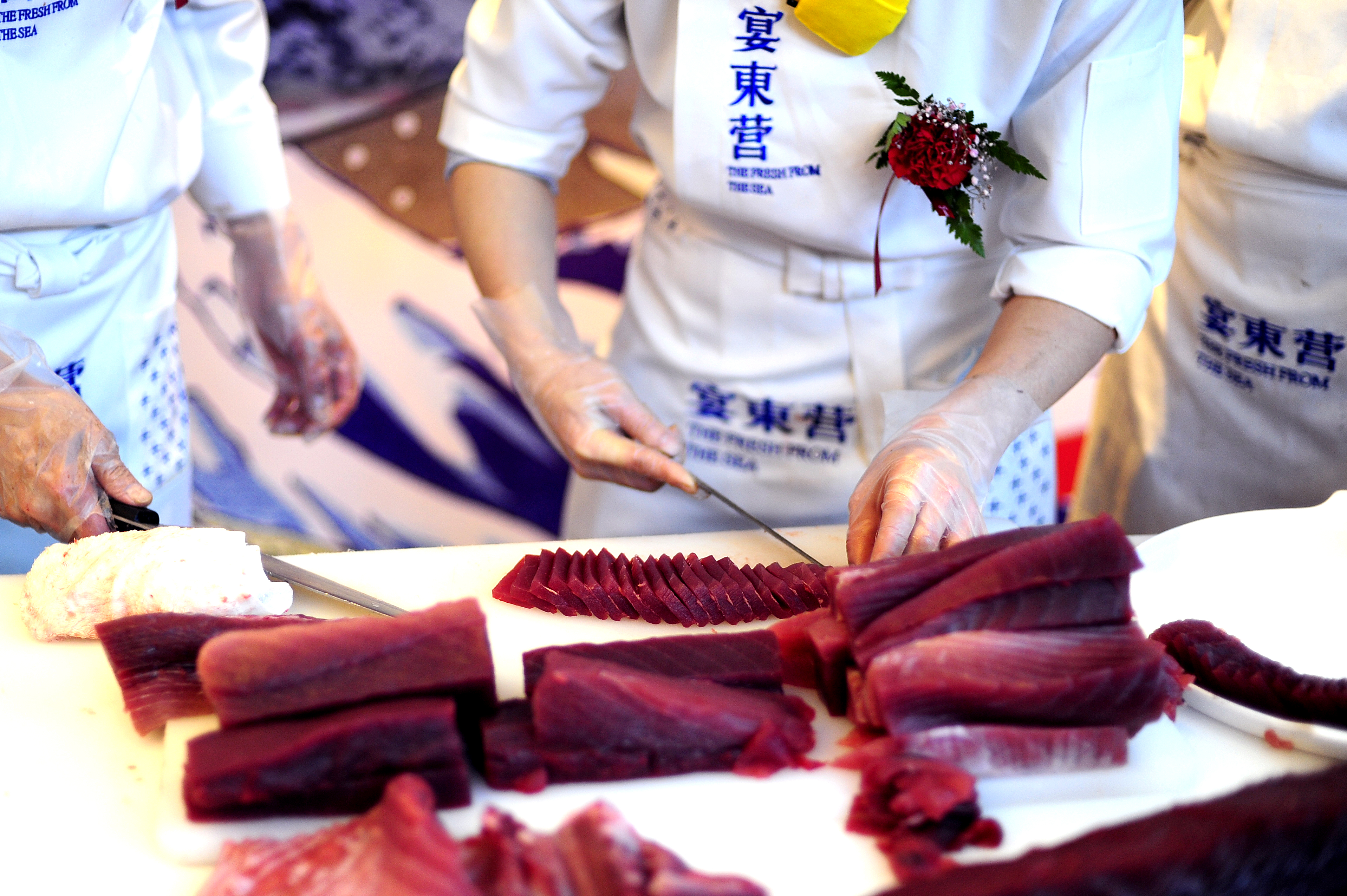 宴东营首届金枪鱼开鱼秀美食节领鲜启航