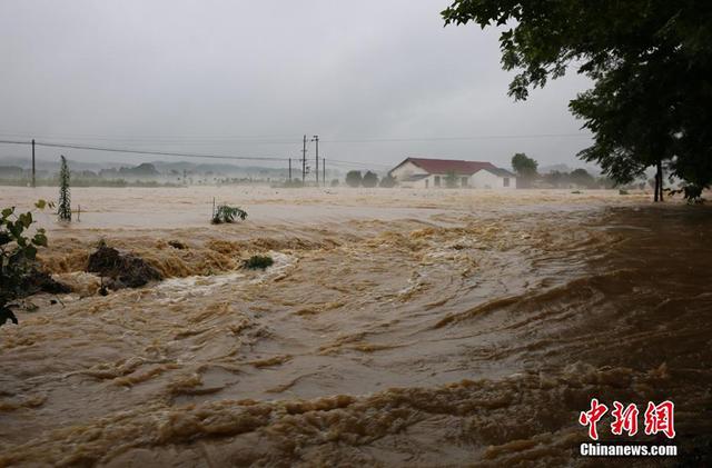 直击江西泰和暴雨成灾 农田村庄受淹汪洋一片