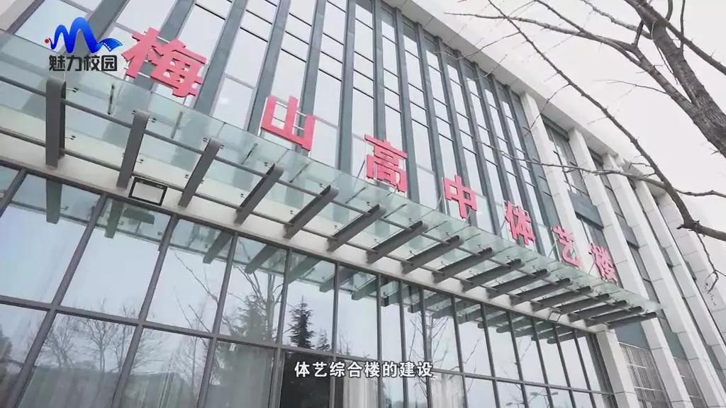 南京市梅山高级中学图片