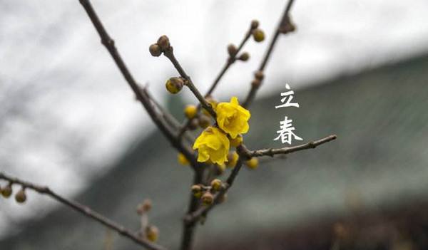俗语"春打六九头,吃穿不用愁",啥意思?今年还准吗?