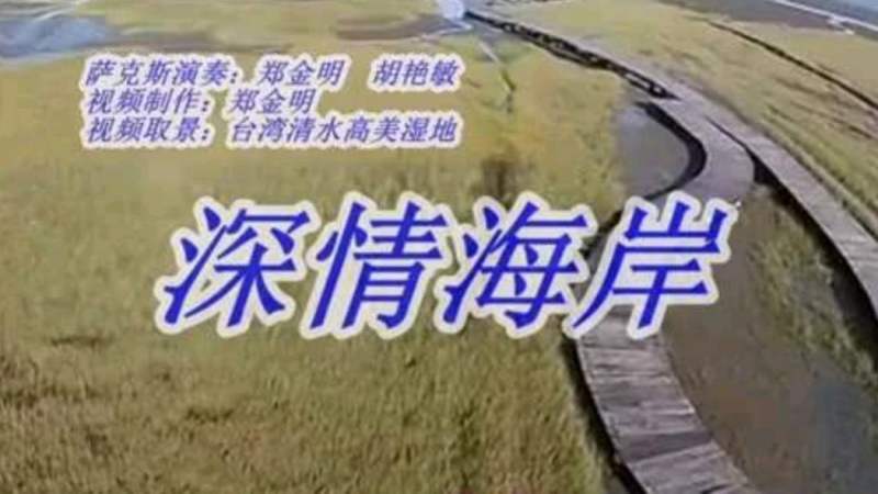 伴奏深情海岸d调简谱视频学习口琴的好帮手